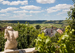 Rachetée par des vignerons sancerrois avant une longue campagne de travaux de rénovation, La Maison des Sancerre a ouvert ses portes en 2005.