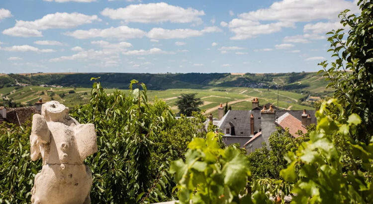 Rachetée par des vignerons sancerrois avant une longue campagne de travaux de rénovation, La Maison des Sancerre a ouvert ses portes en 2005.