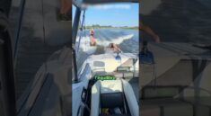 Pourquoi Le Capitaine Ne Devrait Jamais Quitter Le Bateau 💀